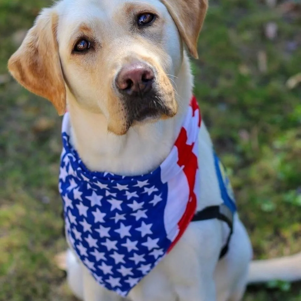 American Flag Red White and Blue Bandana for Pets